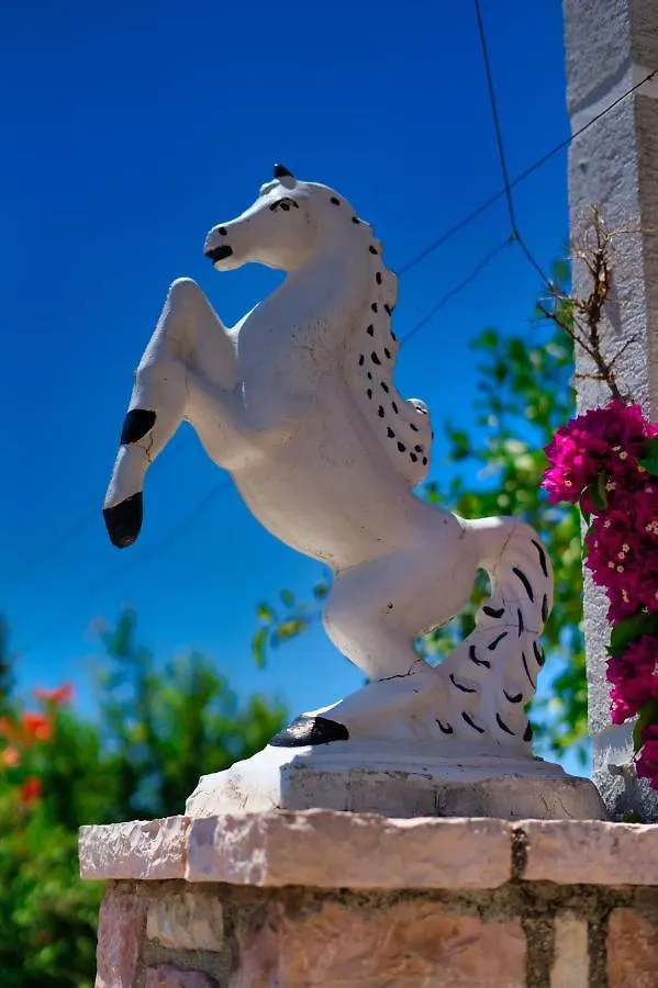 Villa Roel Sarandë 0*,  Albania